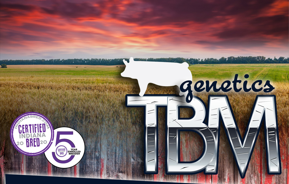 TBM Genetics