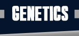 Genetics