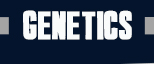 Genetics